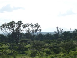 Kenya 2015