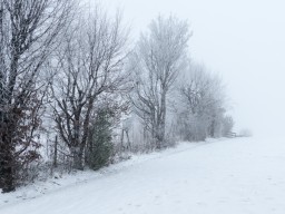 2017 - Herrlisberg im Schnee