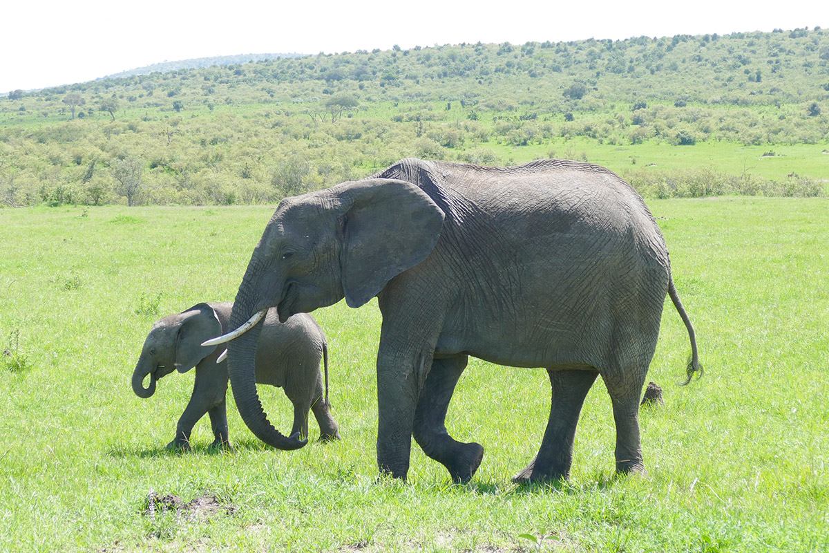 kenya_20151123027.jpg