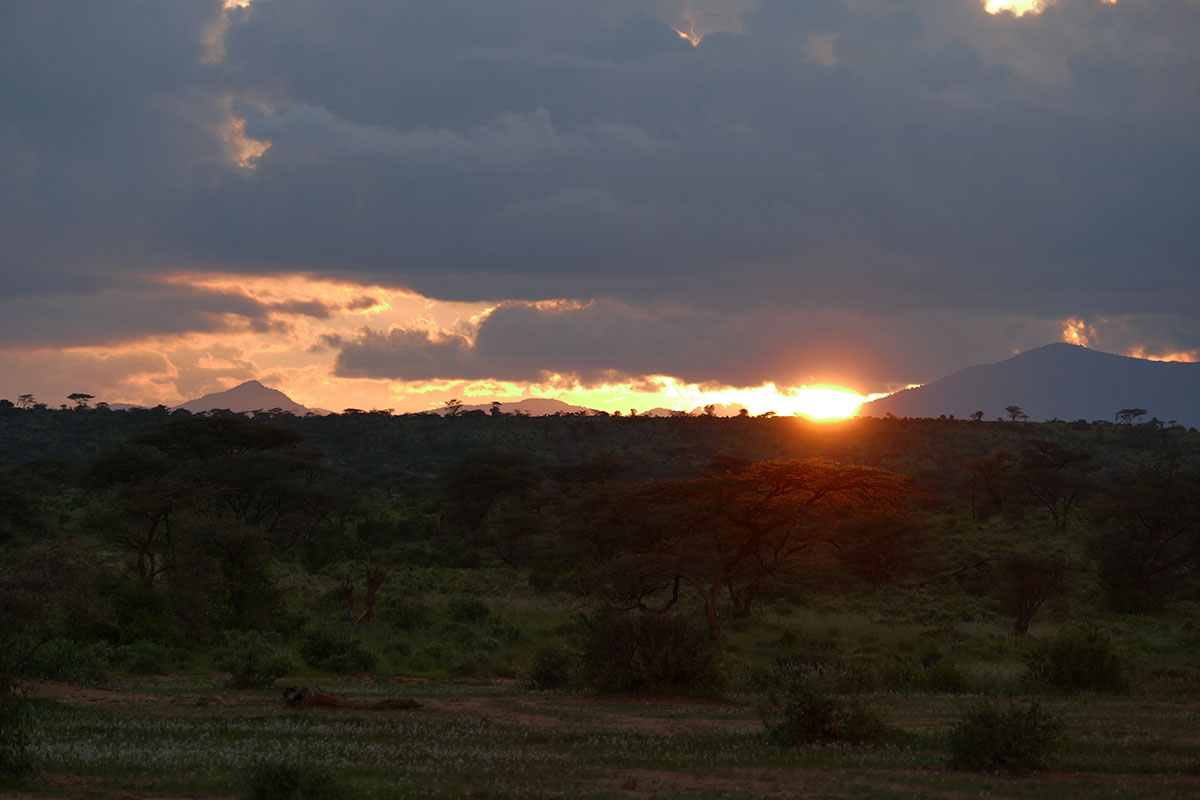 kenya_20151128057.jpg