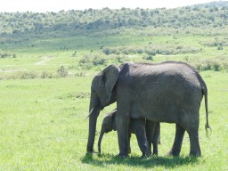 Kenya 2015