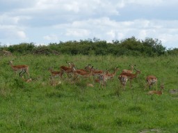 Kenya 2015