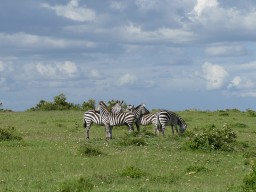 Kenya 2015
