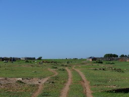 Kenya 2015