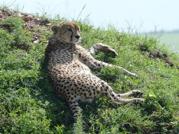 Kenya 2015