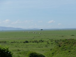 Kenya 2015