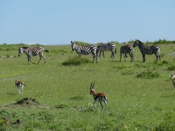 Kenya 2015