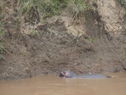 Kenya 2015