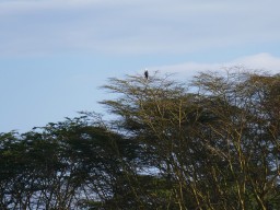Kenya 2015