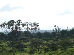 Kenya 2015