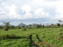 Kenya 2015