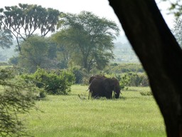 Kenya 2015