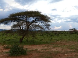 Kenya 2015