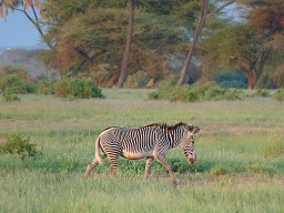 Kenya 2015