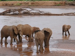 Kenya 2015