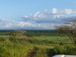 Kenya 2015