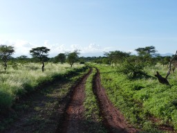 Kenya 2015