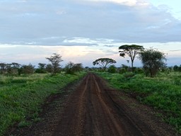 Kenya 2015