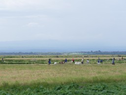 Kenya 2015