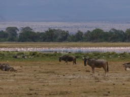 Kenya 2016