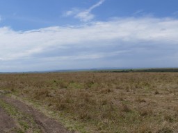 Masai Mara