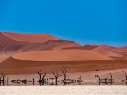 Namibia 2018