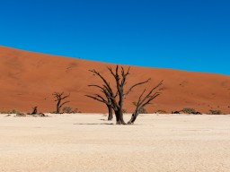 Namibia 2018