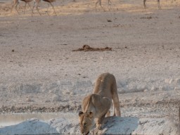 Namibia 2018