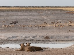 Namibia 2018