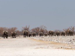 Namibia 2018