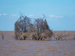 Lake Manyara