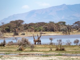 Lake Manyara