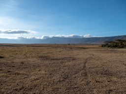 Ngorongoro