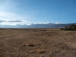 Ngorongoro