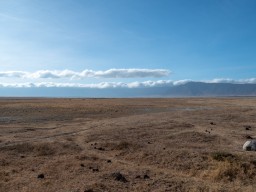 Ngorongoro