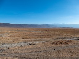 Ngorongoro