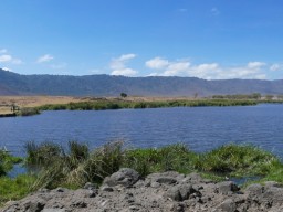 Ngorongoro