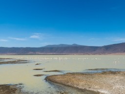 Ngorongoro