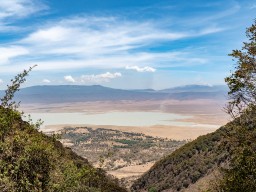 Ngorongoro