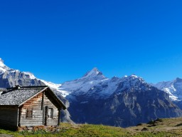 Grindelwald
